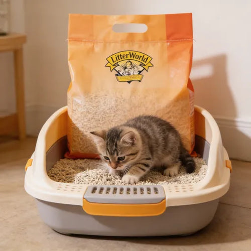 Xelunova® Cloud-Soft Feline Paradise Cat Litter – Kitty’s Private Digging & Napping Sanctuary | Dust-Free, Odor-Vanishing, Purr-Approved for Royal Felines & Their Humans